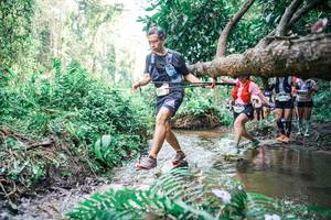 BIB: 
                            <button type="button" onclick="openModal(25477537)" class="btn btn-primary btn-sm float-right btn-popup" data-toggle="modal" data-target=".modal-high-quality">
                        <i class="fas fa-shopping-cart"></i> Add to Cart
                    </button>
                                            <button type="button" onclick="isThisMe(25477537, true)" class="btn btn-success btn-sm float-right btn-popup btn-isme hidden" data-toggle="tooltip" data-placement="bottom" title="นี่คือรูปของคุณใช่ไหม คลิกที่นี่เพื่อเอาเข้าอัลบั้ม">
                        <i class="fas fa-plus"></i> Add to album
                    </button>
                    <button type="button" onclick="isThisMe(25477537, false)" class="btn btn-warning btn-sm float-right btn-popup btn-isnotme hidden">
                        <i class="fas fa-ban"></i> Remove from album
                    </button>